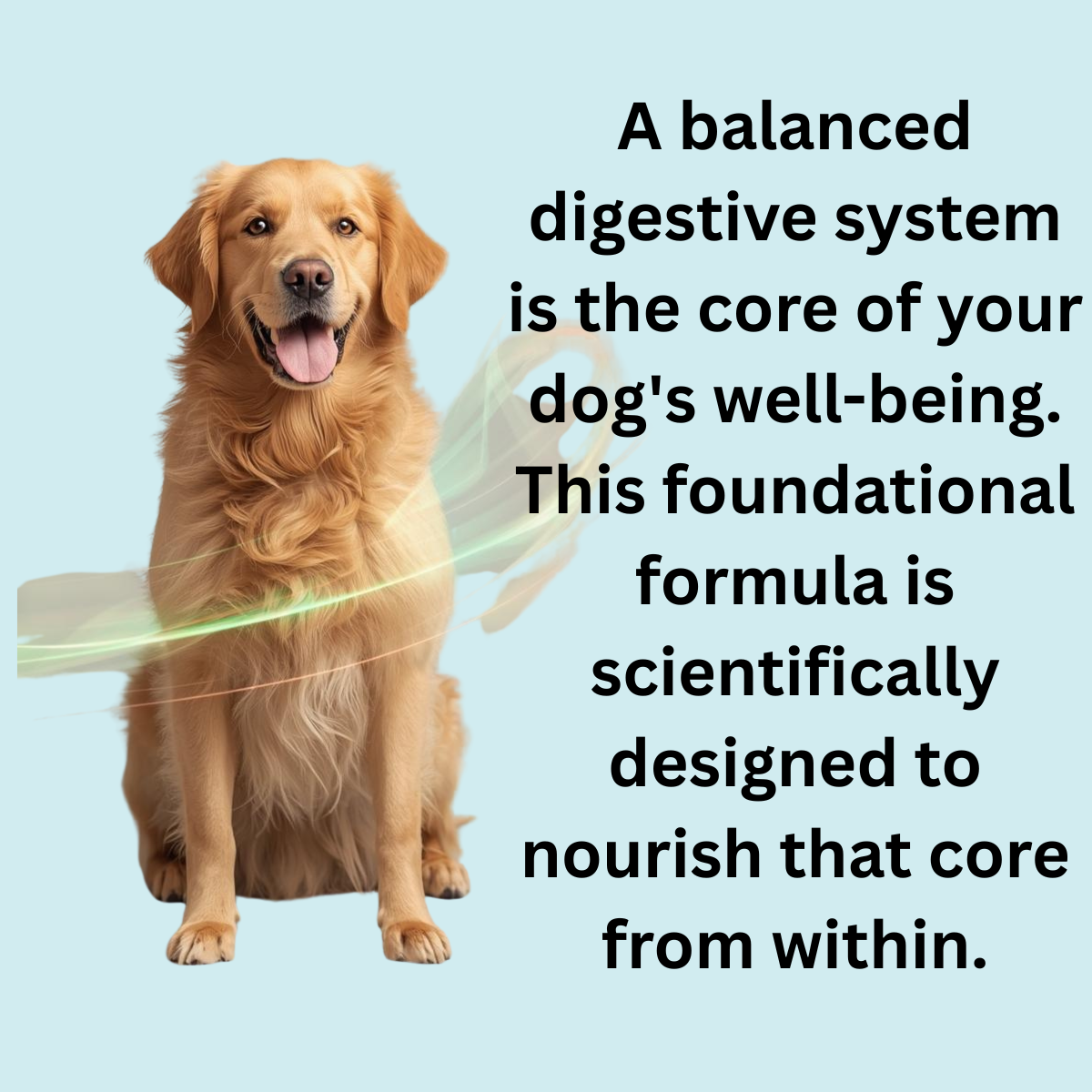 PetCultures Daily Probiotic for Dogs - Tribiotic Gut Health Supplement