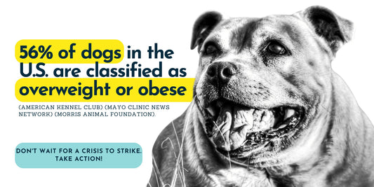 56% of dogs in the U.S. are classified as overweight or obese. Leaarn how to prevent canine overweight. - PetCultures