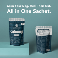 Help your dog feel more relaxed and at ease, reducing anxiety and promoting a sense of calm.