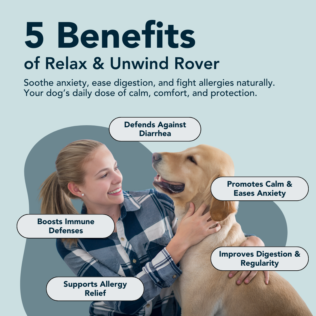 Help your dog feel more relaxed and at ease, reducing anxiety and promoting a sense of calm.
