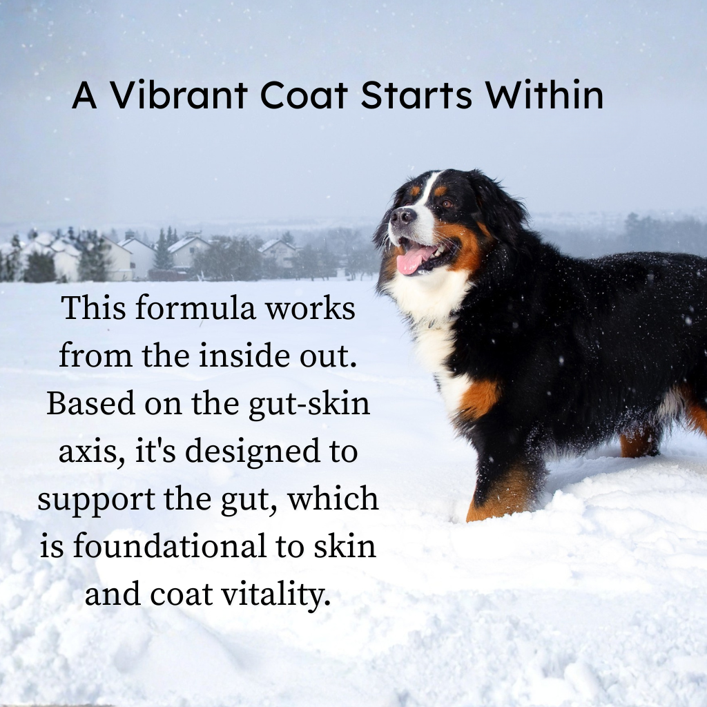 PetCultures Tribiotic Skin & Coat Formula for Dogs
