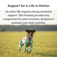 PetCultures Tribiotic Hip & Joint Formula for Dogs