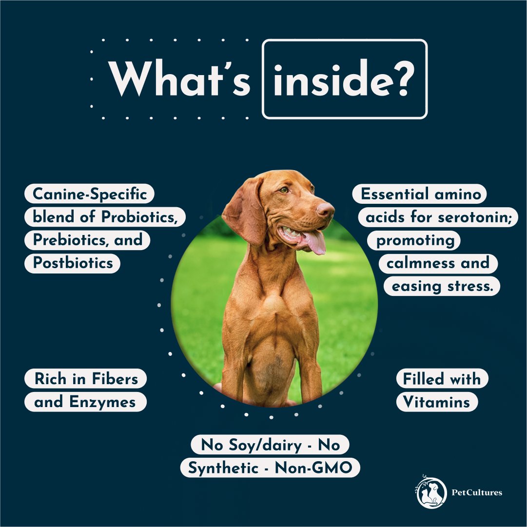Advanced Calming Formula: Featuring Prebiotics, Probiotics, and Postbiotics - PetCultures Canine Dog Probiotics Prebiotics Postbiotics Supplement For Gut Health Box Front