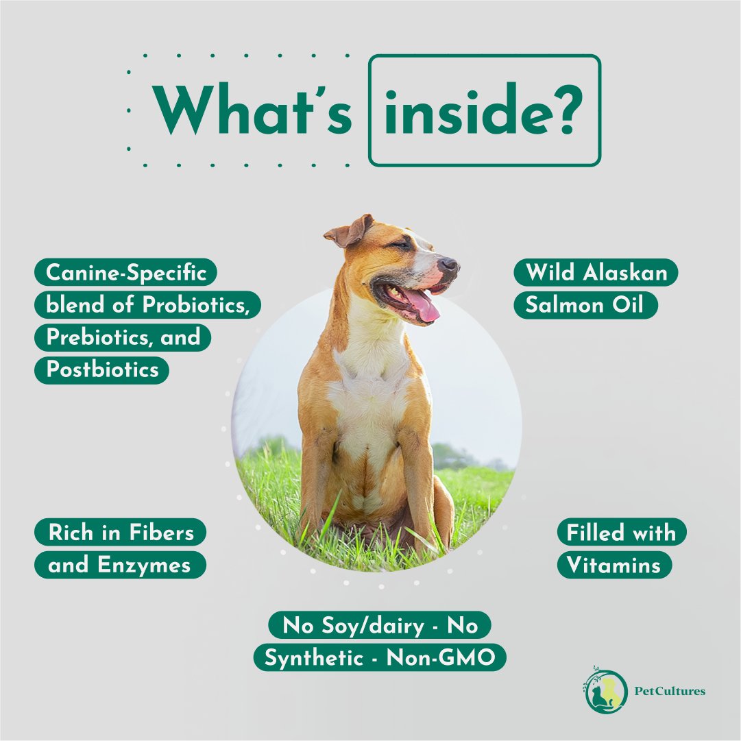 Advanced Skin & Coat Formula | Superior absorption of Salmon Oil, and Omega-3 - PetCultures Canine Dog Probiotics Prebiotics Postbiotics Supplement For Gut Health Box Front