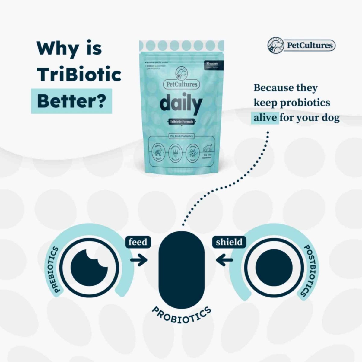 Daily Tribiotic: Canine Immune Support | Pro Formula - PetCultures Canine Dog Probiotics Prebiotics Postbiotics Supplement For Gut Health Box Front