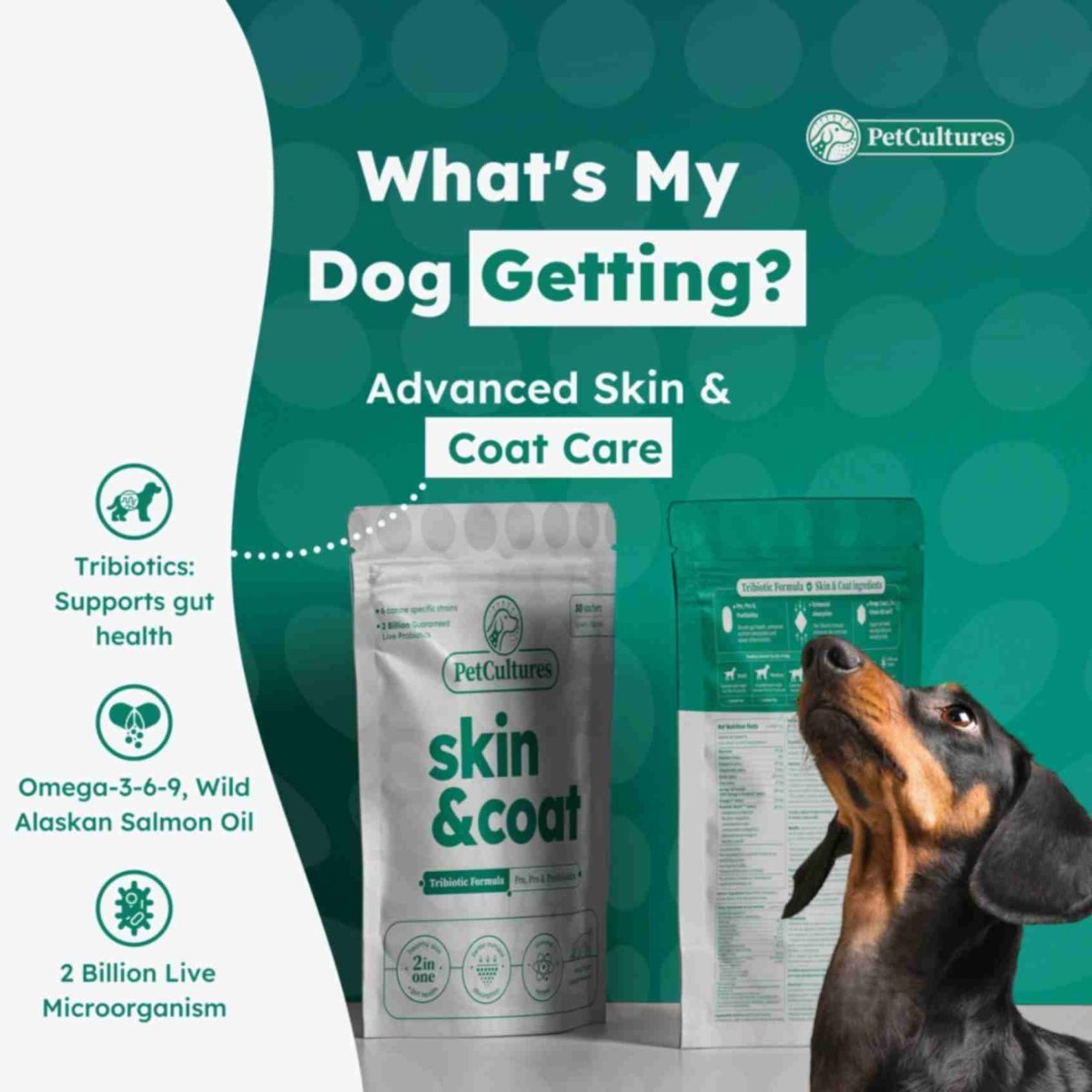 Infographic illustrating how our formula soothes itchy skin and reduces shedding in dogs.