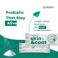 Easy-to-use sachet of PetCultures Skin & Coat powder, ensuring a fresh and accurate dose.