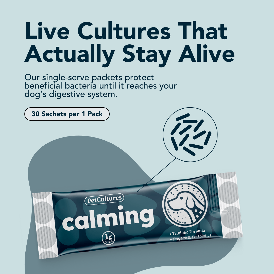 Infographic explaining how our Tribiotic formula supports the gut-brain axis for canine calmness.