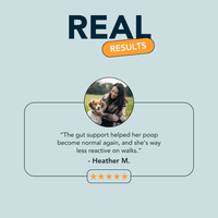 Real results from our calming formula, showing a visible reduction in dog anxiety and stress.