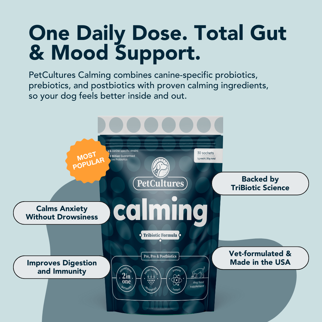 Five key benefits of PetCultures' calming supplement, including stress relief and promoting relaxation.