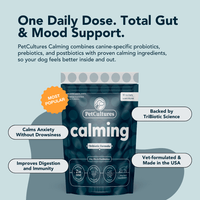 Five key benefits of PetCultures' calming supplement, including stress relief and promoting relaxation.