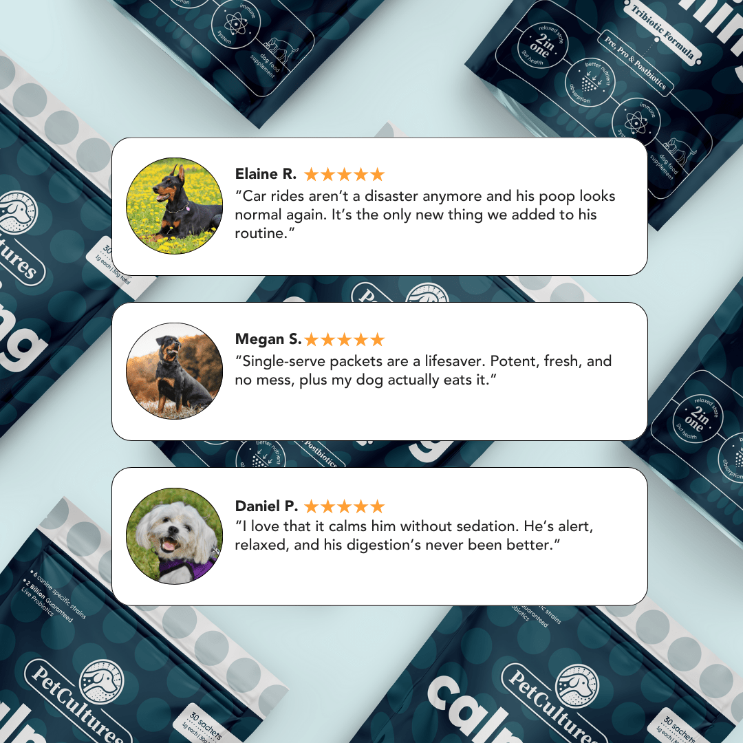 Real results from our calming formula, showing a visible reduction in dog anxiety and stress.