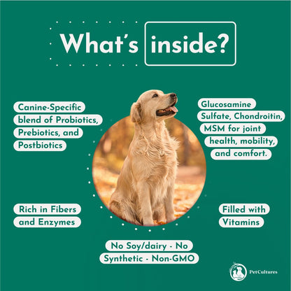Hip & Joint Formula with Glucosamine and Probiotics - PetCultures Canine Dog Probiotics Prebiotics Postbiotics Supplement For Gut Health Box Front