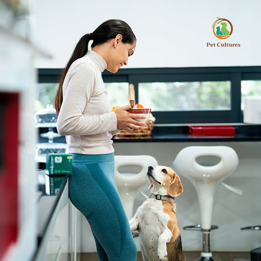 Hip & Joint Formula with Glucosamine and Probiotics - PetCultures Canine Dog Probiotics Prebiotics Postbiotics Supplement For Gut Health Box Front