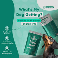 Hip & Joint Formula with Glucosamine and Probiotics | Pro Formula - PetCultures Canine Dog Probiotics Prebiotics Postbiotics Supplement For Gut Health Box Front