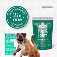 Hip & Joint Formula with Glucosamine and Probiotics | Pro Formula - PetCultures Canine Dog Probiotics Prebiotics Postbiotics Supplement For Gut Health Box Front