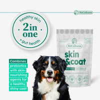 Skin & Coat Formula with Omega - 3/6 and Probiotics | Pro Formula - PetCultures Canine Dog Probiotics Prebiotics Postbiotics Supplement For Gut Health Box Front