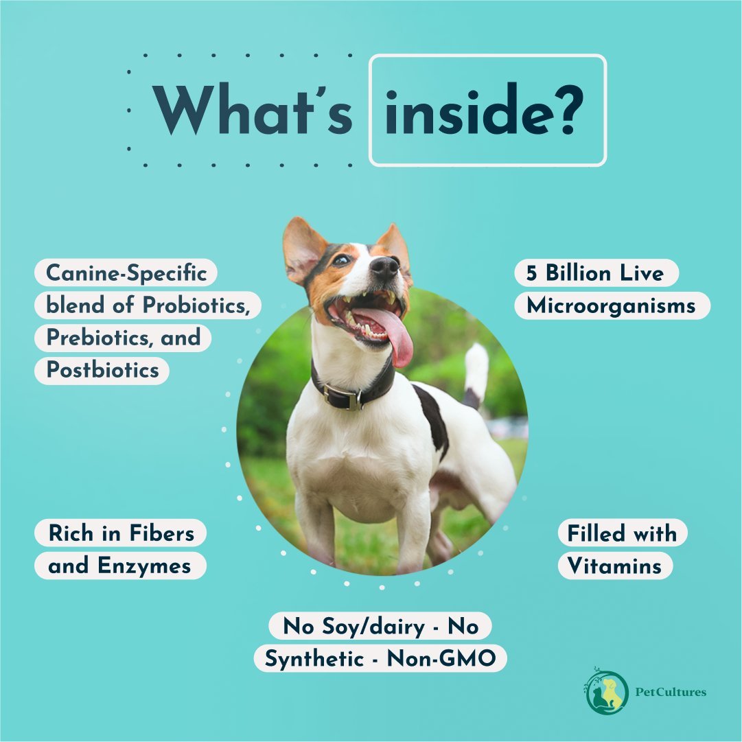 Superior Daily Tribiotic - Prebiotic, Probiotic, and Postbiotic | 5 billion CFU - PetCultures Canine Dog Probiotics Prebiotics Postbiotics Supplement For Gut Health Box Front