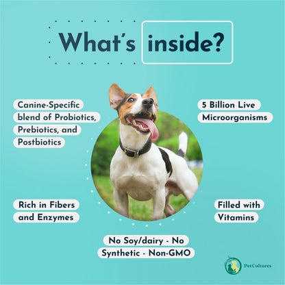 Superior Daily Tribiotic - Prebiotic, Probiotic, and Postbiotic | 5 billion CFU - PetCultures Canine Dog Probiotics Prebiotics Postbiotics Supplement For Gut Health Box Front