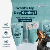 Infographic explaining how PetCultures' 5 Billion CFU probiotics improve a dog's digestive system.