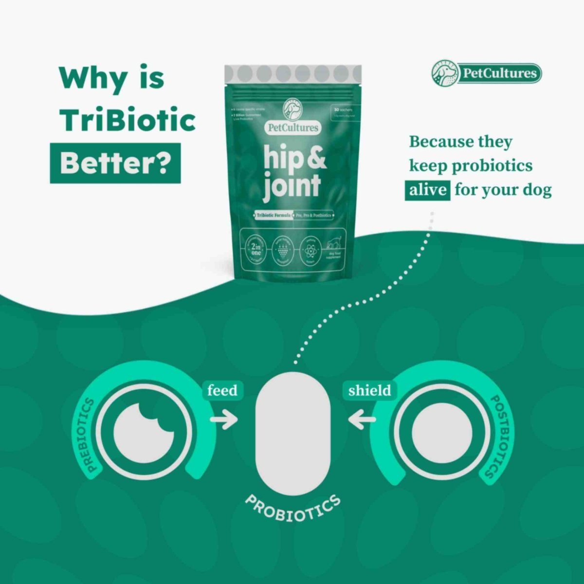 Infographic showing how our formula supports both joint health and gut-based nutrient absorption.