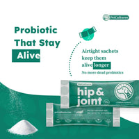 Easy-to-use powder sachet of PetCultures' hip and joint supplement for dogs.